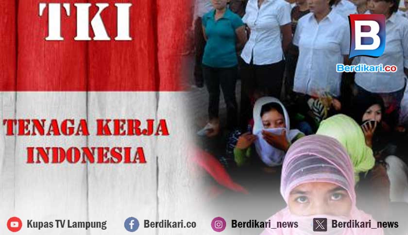 260.721 Warga Lampung Jadi TKI, Terbanyak Asal Lampung Timur