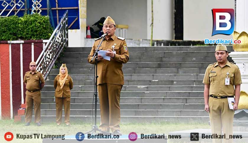 561 Desa di Lampung Dinyatakan Mandiri