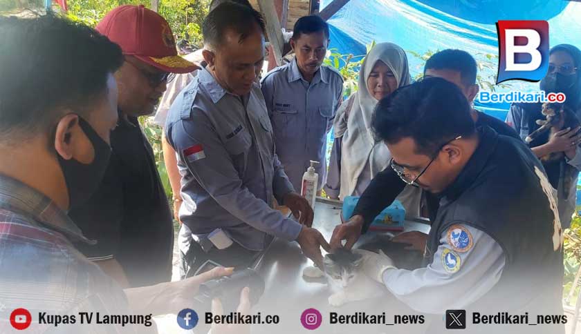 945 Hewan di Lampung Barat Telah Menerima Vaksin Rabies Gratis