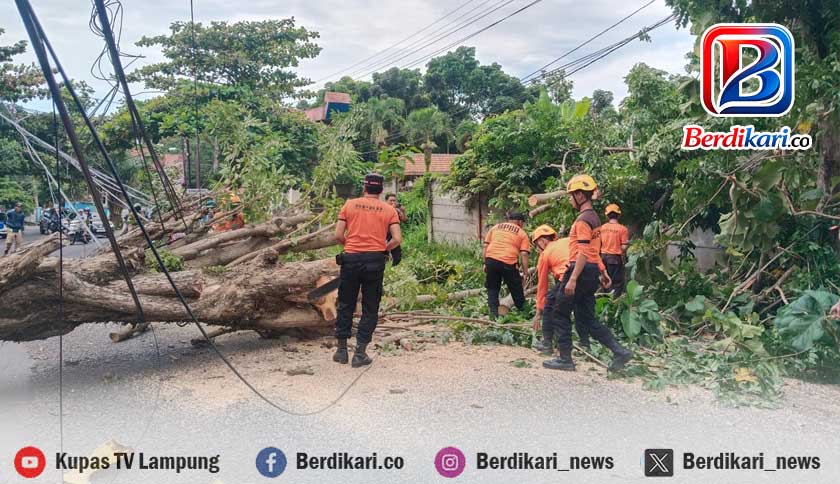 Angin Kencang Robohkan Pohon di Jalan Basuki Rahmat, Lalu Lintas Sempat Lumpuh