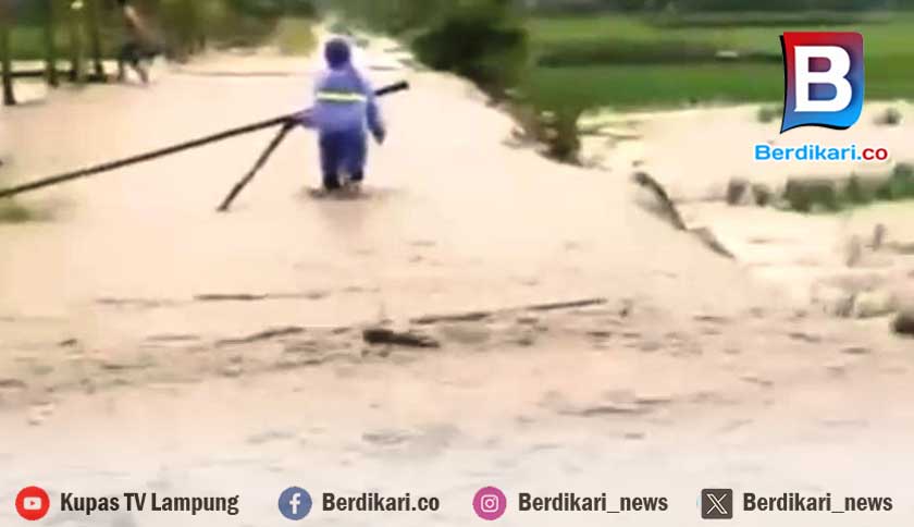 Banjir! 4 Hektare Sawah di BNS Lambar Terancam Gagal Panen