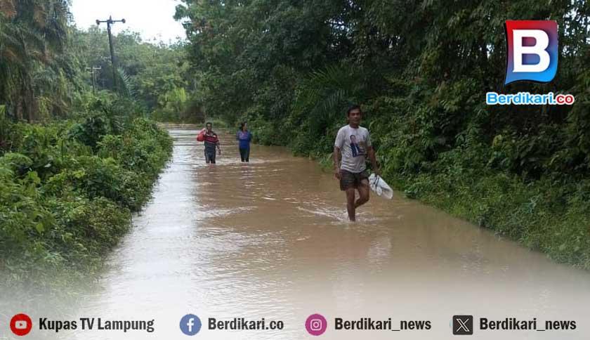 Banjir Putus Jalan di Kampung Kota Baru Way Kanan, Lahan Pertanian Terendam