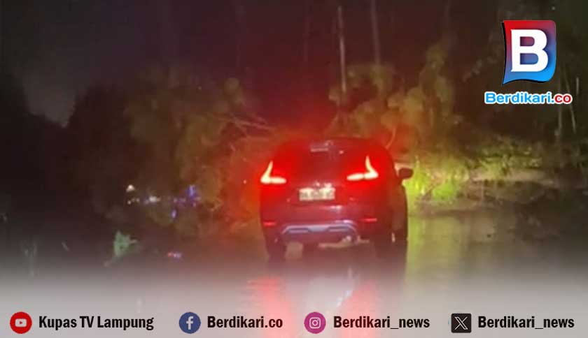 Batu Keramat di Kotaagung Timur, Jalur Berbahaya Rawan Longsor, Warga Desak Jalan Alternatif