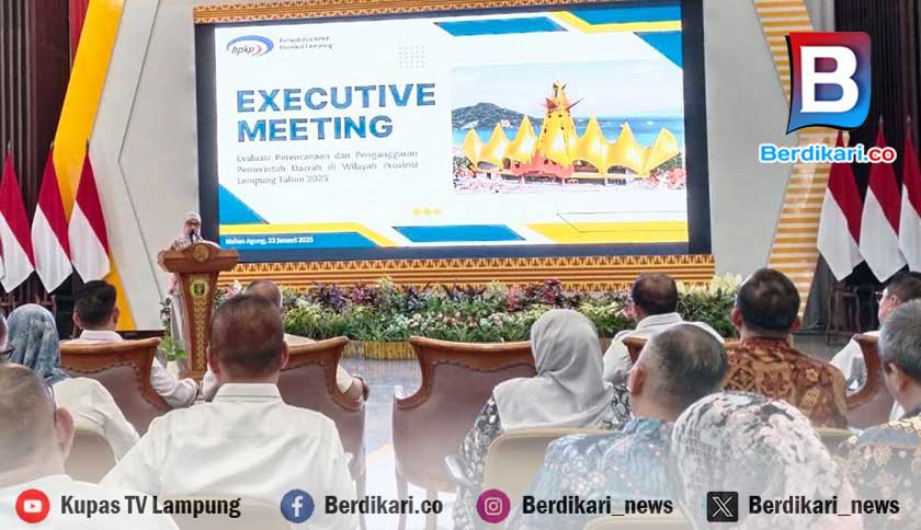 BPKP Ungkap Pemda di Lampung Hadapi Ruang Fiskal Rendah