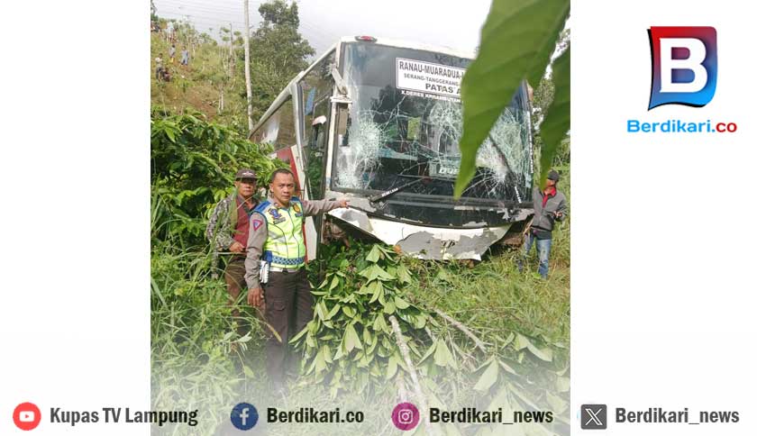 Bus Bawa 18 Penumpang Masuk Jurang di Lampung Barat, Satu Luka Ringan