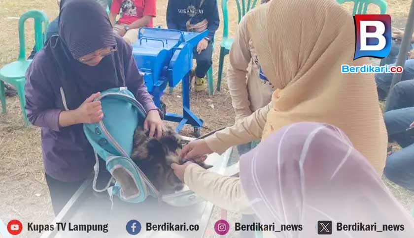 Cegah Rabies, Pemkab Tubaba Gelar Vaksinasi Hewan Gratis