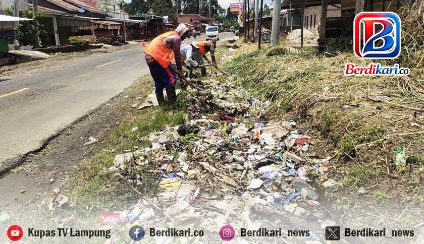 Drainase Tersumbat Sampah, Jalan Nasional di Lambar Terancam Rusak dan Banjir