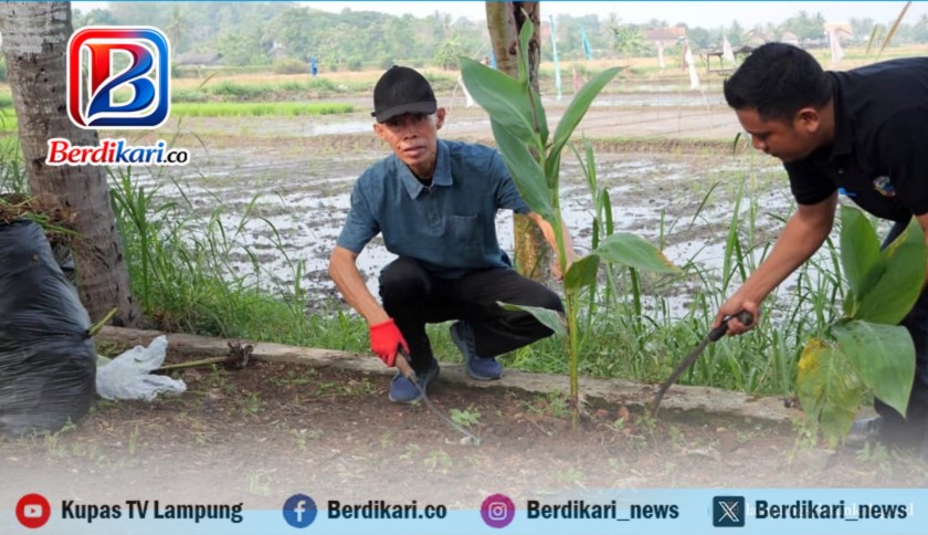 ‎Gertak HELAU Dimulai, ASN Lampung Selatan Turun Gunung Bersihkan Kota hingga Angkat Pohon dari Selokan