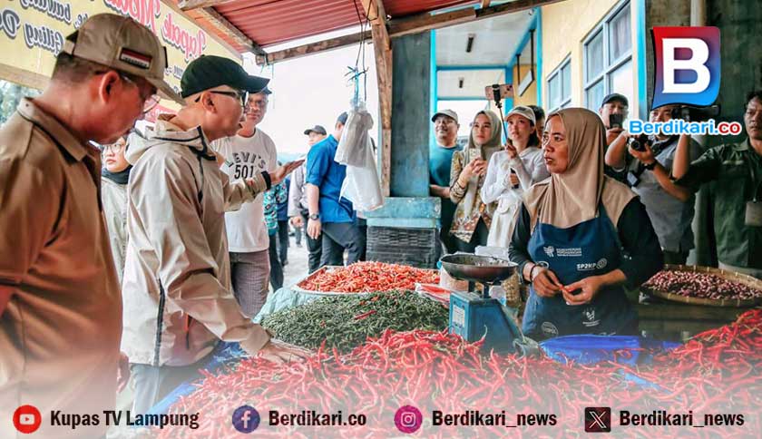 Harga Cabai Petani Tertekan Pasokan Luar Daerah, Gubernur Lampung Minta Distribusi Dikendalikan