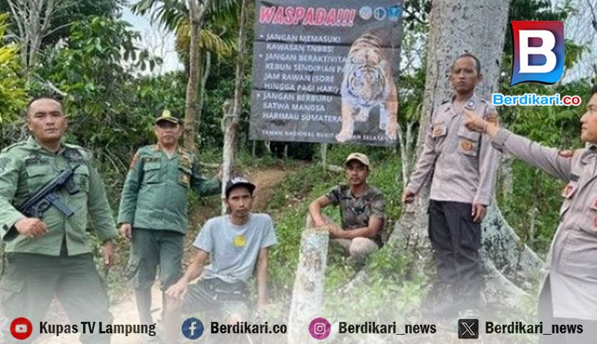 Harimau Diduga Masuki Permukiman Warga di Sukamulya Pesisir Barat