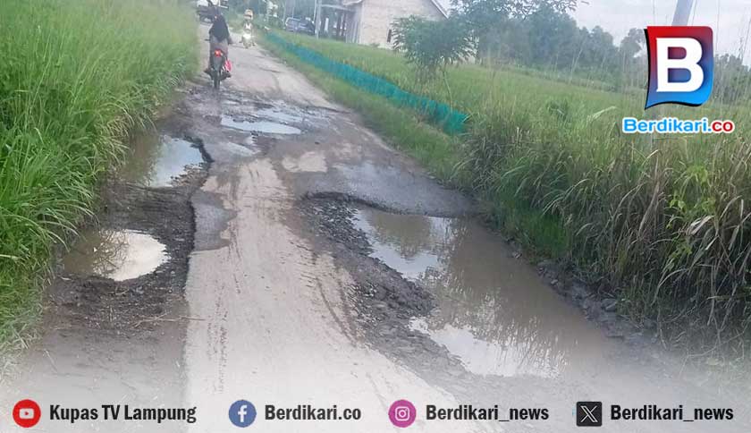 Jalan Penghubung Desa di Palas Lampung Selatan Rusak Parah