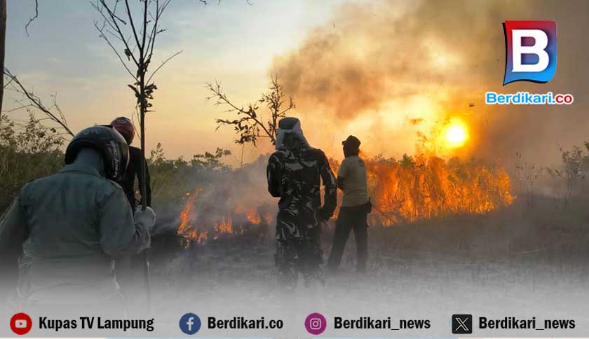 Kebakaran Hebat Landa 925 Hektar Hutan Taman Nasional Way Kambas