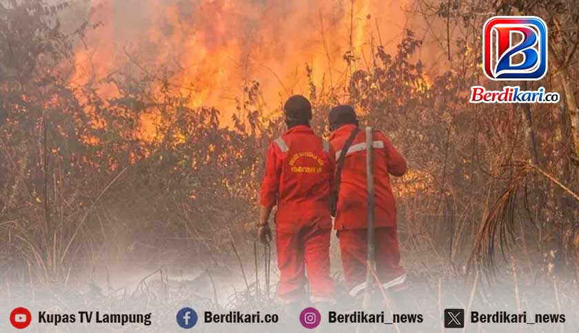 Kebakaran Hutan Melonjak Drastis, Pemerintah Perkuat Mitigasi Nasional