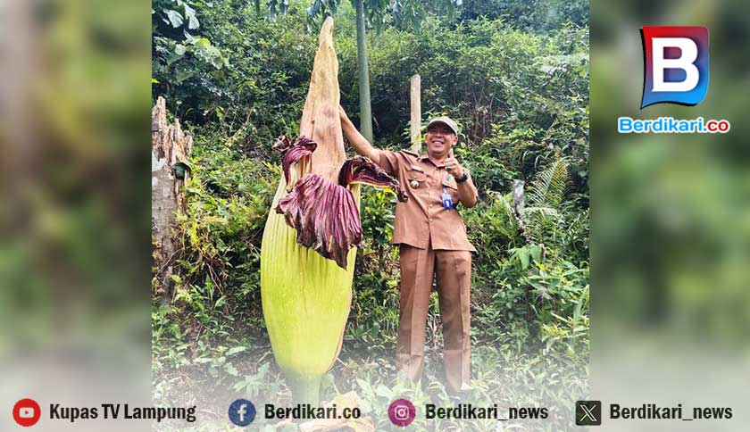 Ketika Bumi Suoh Lambar Menumbuhkan Keajaiban