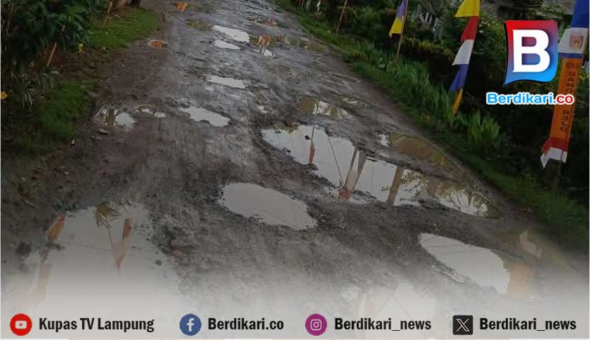 Kontras Semangat Kemerdekaan, Warga Bangun Rejo Terjebak Jalan Rusak Bertahun-tahun