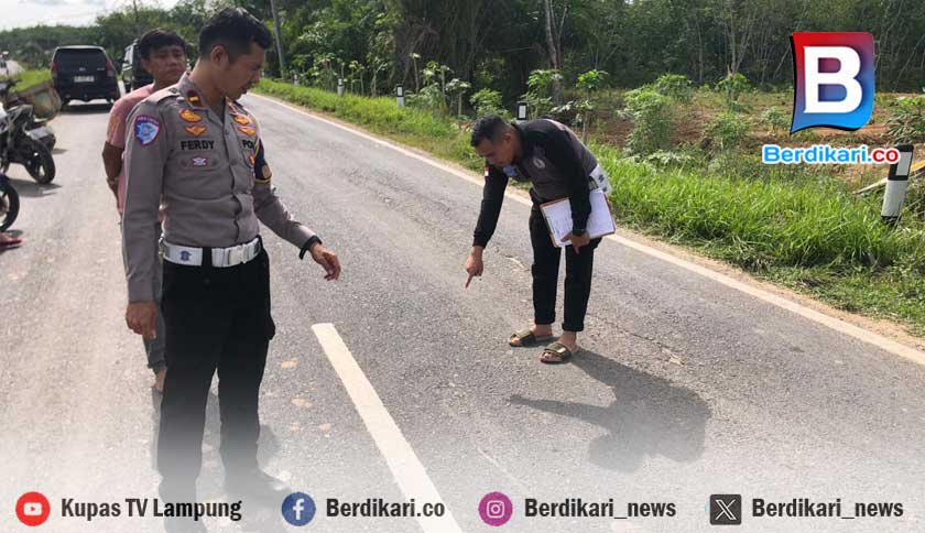 Lengah Saat Menyalip, Beat Adu Kambing dengan Pajero, Ibu dan Anak Tewas di Mesuji