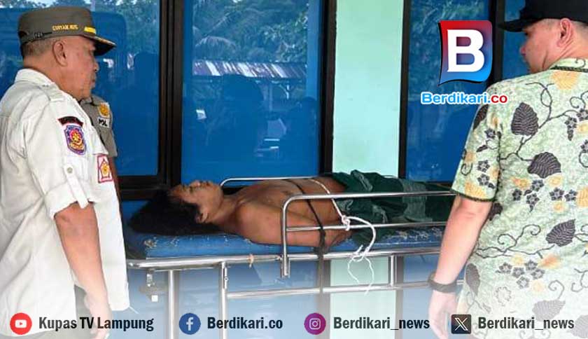 ODGJ Pelempar Batu di Jalan Lintas Pesisir Barat Diamankan