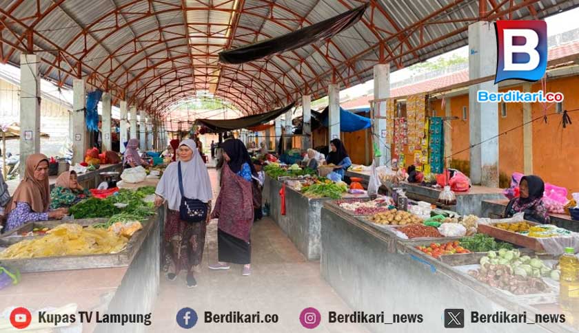 Panen Melimpah, Harga Tomat dan Terong di Lampung Barat Anjlok