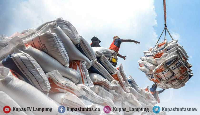 Pemerintah Bakal Impor Beras 3,6 Juta Ton di 2024, 2 Juta Sudah Masuk