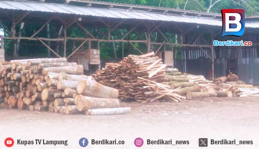Pemkab Tubaba Hentikan Sementara Aktivitas PT GMKP, Izin Tak Lengkap
