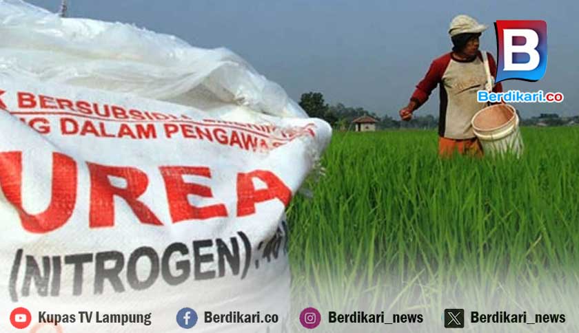 Penyaluran Pupuk Bersubsidi di Lampung 51 Persen Hingga September