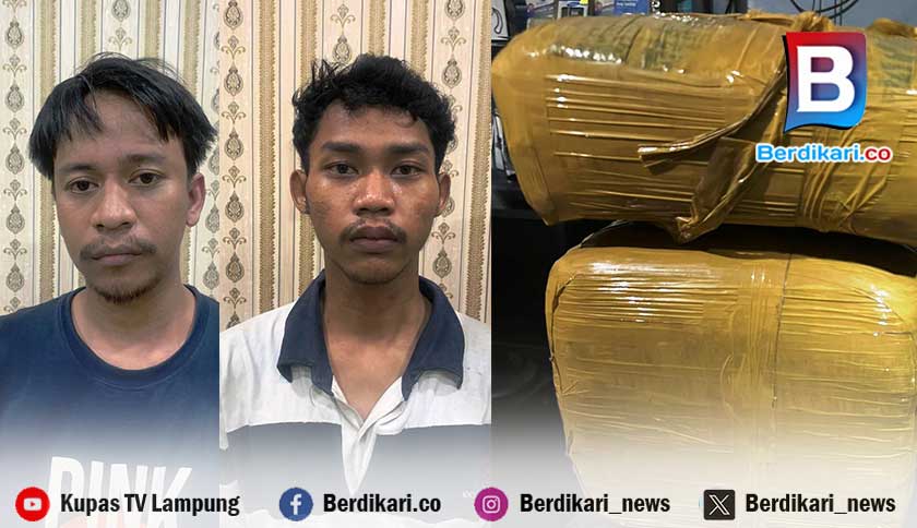 Penyelundupan 8 Kg Ganja Asal Medan Digagalkan di Pelabuhan Bakauheni