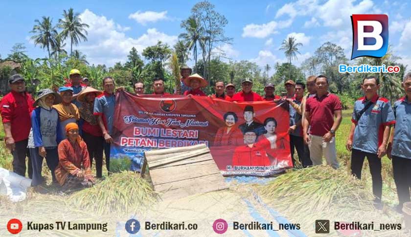 Peringati Hari Tani, PDI Perjuangan Tanggamus Turun ke Sawah dan Serahkan Bantuan untuk Petani