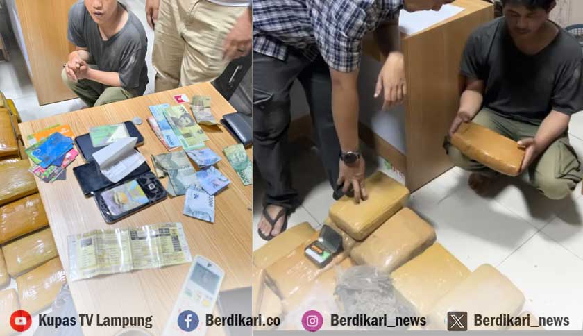 Polisi Bongkar Penyelundupan 53 Kg Ganja di Bandar Lampung, Diduga Dikendalikan dari Dalam Penjara