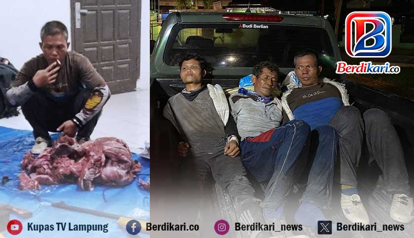 Polisi Tangkap 3 Pemburu Rusa di Taman Nasional Way Kambas
