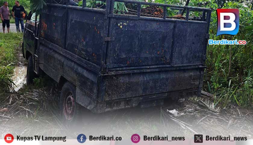 Polisi Tangkap Pencuri Sawit Usai Mobil Terjebak Lumpur di Lamteng