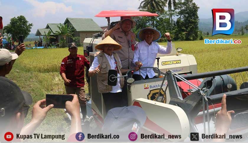 Produksi Pertanian di Lambar Turun, Pemkab Minta Solusi Kementan