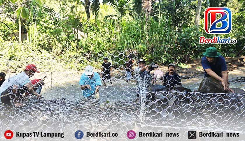 Sepanjang Sungai BNS Dipasang Bronjong Cegah Banjir Susulan