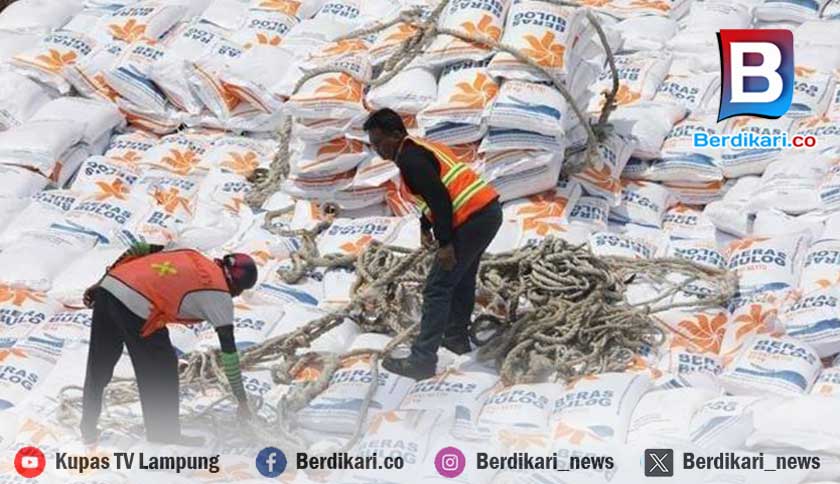 Stok Beras Bulog Lampung Sisa 78.373 Ton