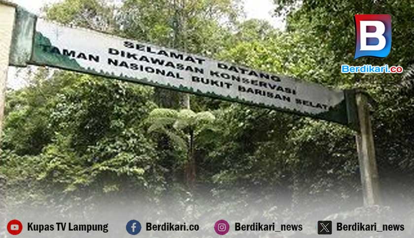TNBBS Tegaskan Tak Terlibat dalam Penerbitan Sertifikat Ilegal, Dukung Penegakan Hukum di Kawasan Konservasi