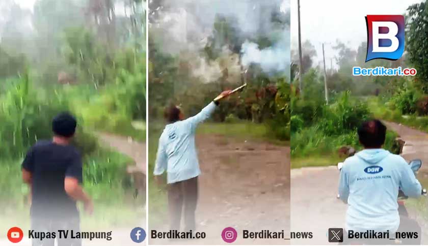 Warga Suoh dan Satgas Berhasil Halau 18 Gajah Liar Masuki Permukiman