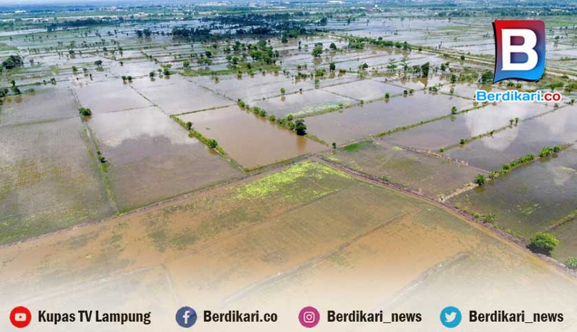 Berita
