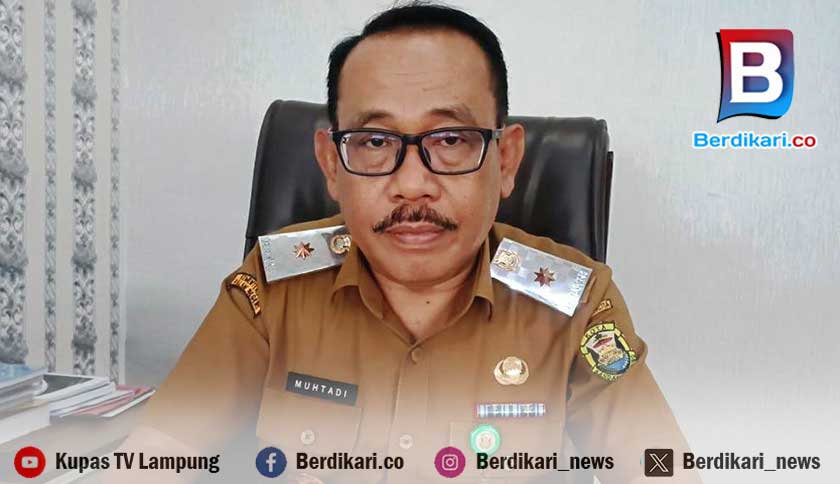 382 Kasus DBD Tercatat, Pemkot Peringatkan 60 Persen Kelurahan di Bandar Lampung Masih Endemis