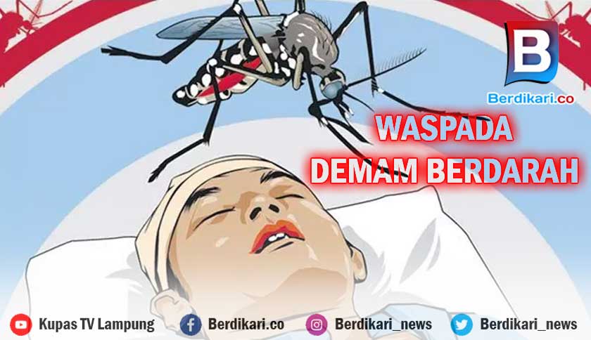 7.673 Warga Lampung Terjangkit DBD Dalam 10 Bulan