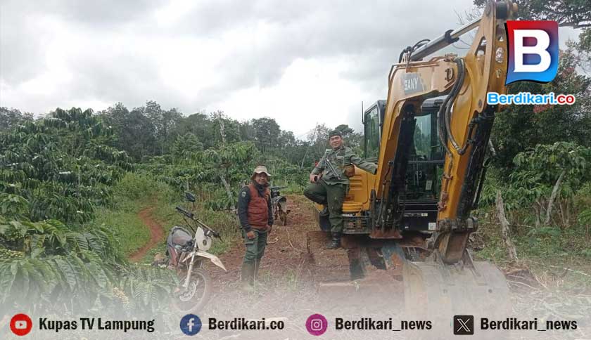 Alat Berat Anggota DPRD Lambar Beroperasi di Kawasan Hutan Lindung, Polisi Lakukan Penyelidikan