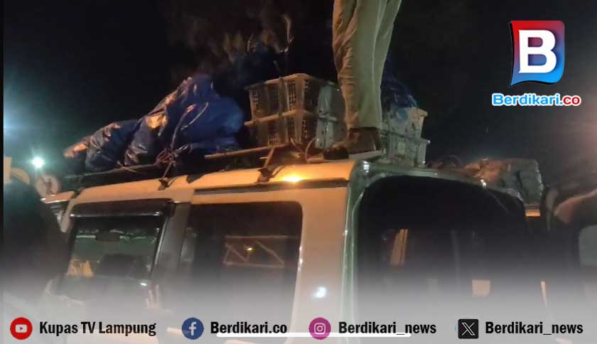 Balai Karantina Lampung Sita 126 Burung Ilegal Saat Akan Diselundupkan ke Jakarta