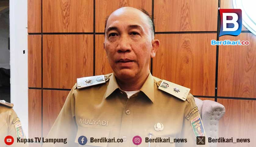 Belasan Truk Angkut Ratusan Ton Gabah Diputar Balik di Pelabuhan Bakauheni