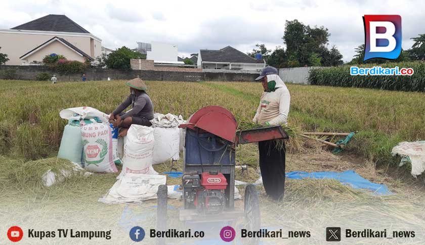 Berita