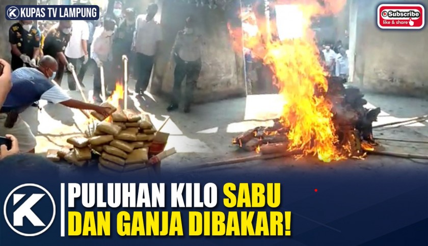 BNN Lampung Musnahkan Puluhan Kilogram Sabu dan Ganja