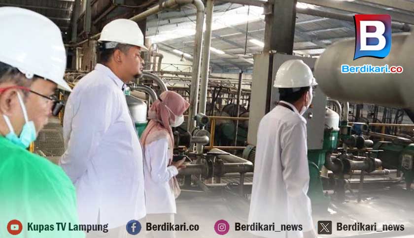 BPOM Tulang Bawang Periksa Pabrik Singkong PT SAM
