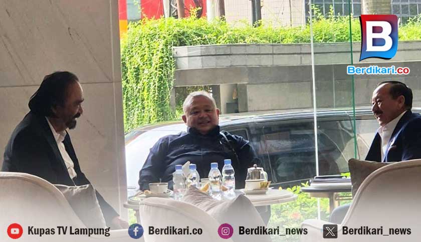 Bursa Pilgub Lampung, Herman HN Bertemu Surya Paloh dan Irfan Nuranda Djafar di Jakarta