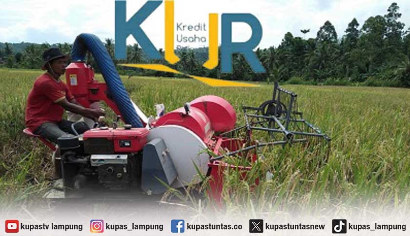 Dengan Debitur 112.393 Orang, Realisasi KUR Pertanian di Lampung Capai Rp4,3 Triliun 