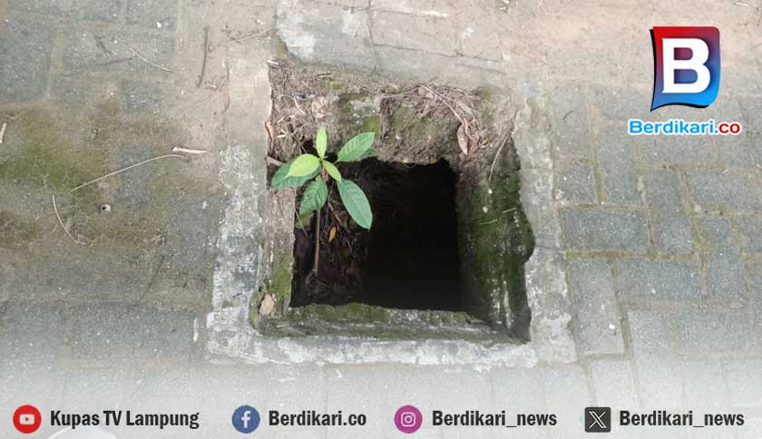 Diduga Digondol Pencuri, 89 Besi Penutup Trotoar Jalan Jenderal Sudirman Metro Hilang