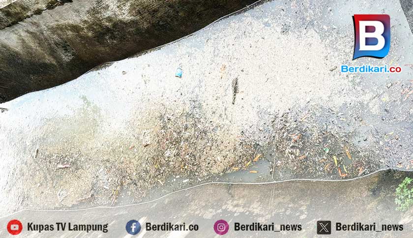 DLH Bakal Periksa Dugaan Limbah Dapur MBG di Sukarame
