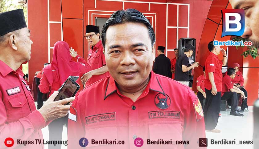 Dorong Kualitas Gaplek Lokal, DPR Minta Industri Bantu Petani Singkong