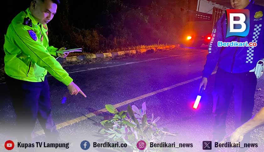 Gagal Menyalip, Pemuda Asal Simpang Pematang Tewas di Jalintim Mesuji